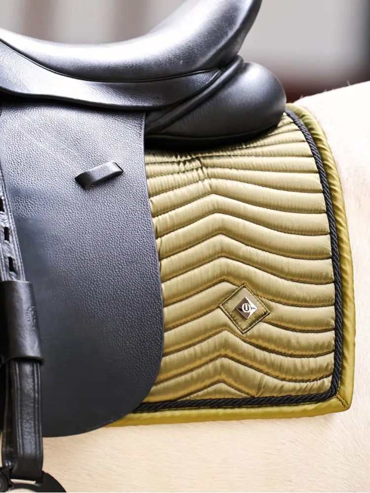 Sviedrene Rebel GP Imperial Riding