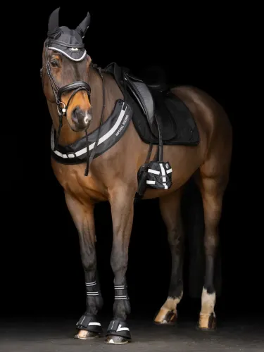 Purngalu sildītāji Luminous Imperial Riding