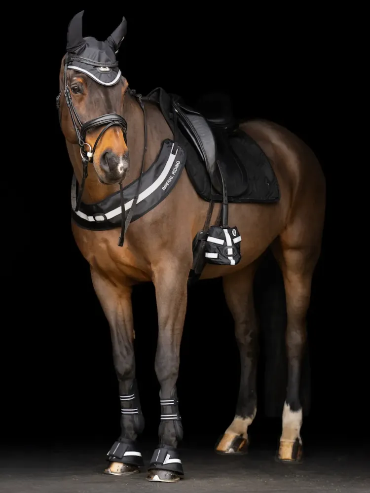 Purngalu sildītāji Luminous Imperial Riding
