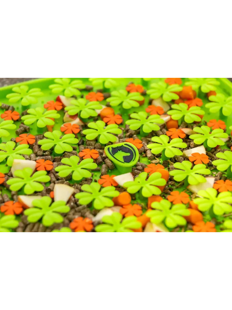 Kārumu paklājiņš Snuffle Mat Wahlsten