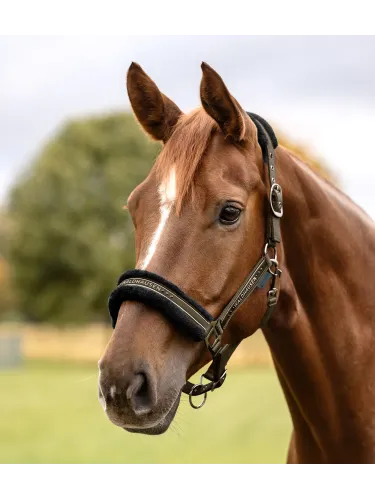 Apauši Elegant Waldhausen