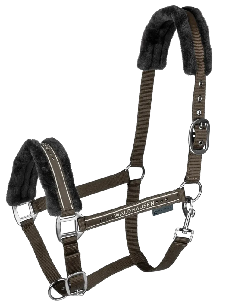 Apauši Elegant Waldhausen