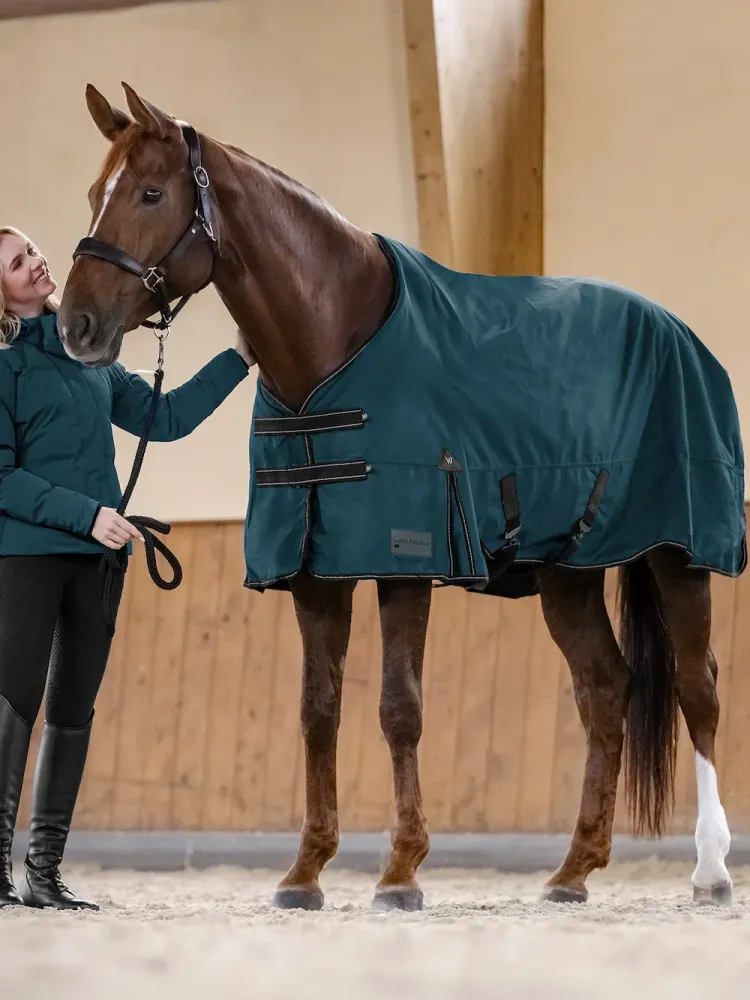 Lietus sega Artic 300g 600D Waldhausen