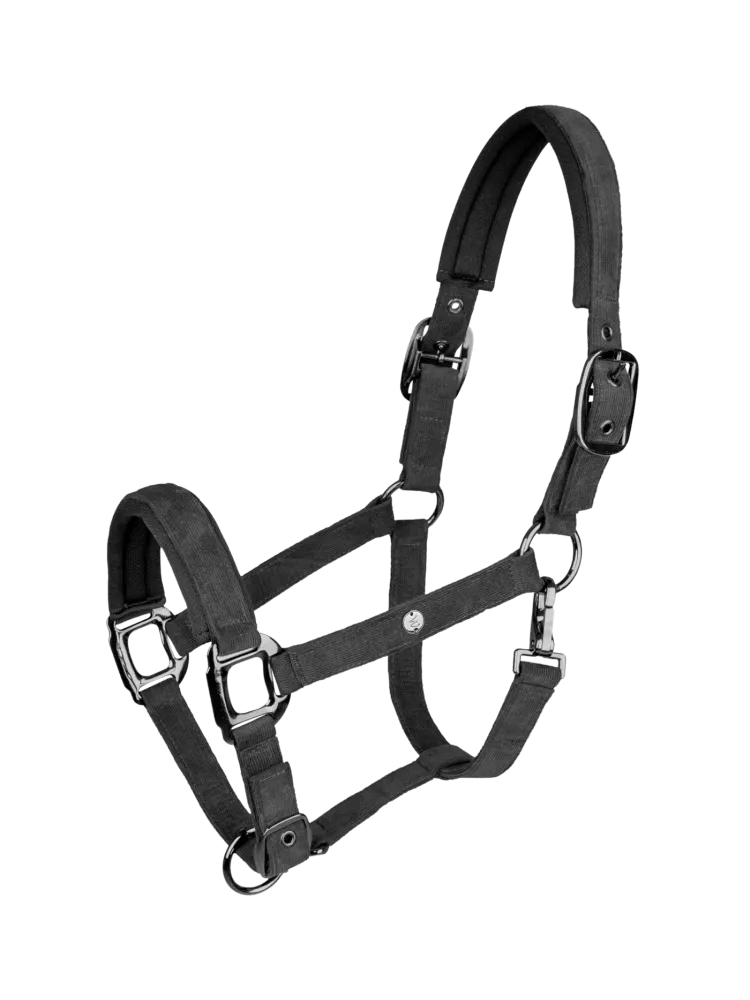 Apauši St.Gallen Waldhausen