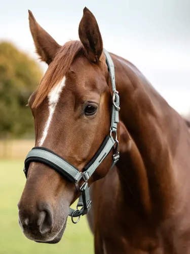 Apauši Soft Touch Waldhausen