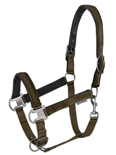 Apauši Athletic Waldhausen