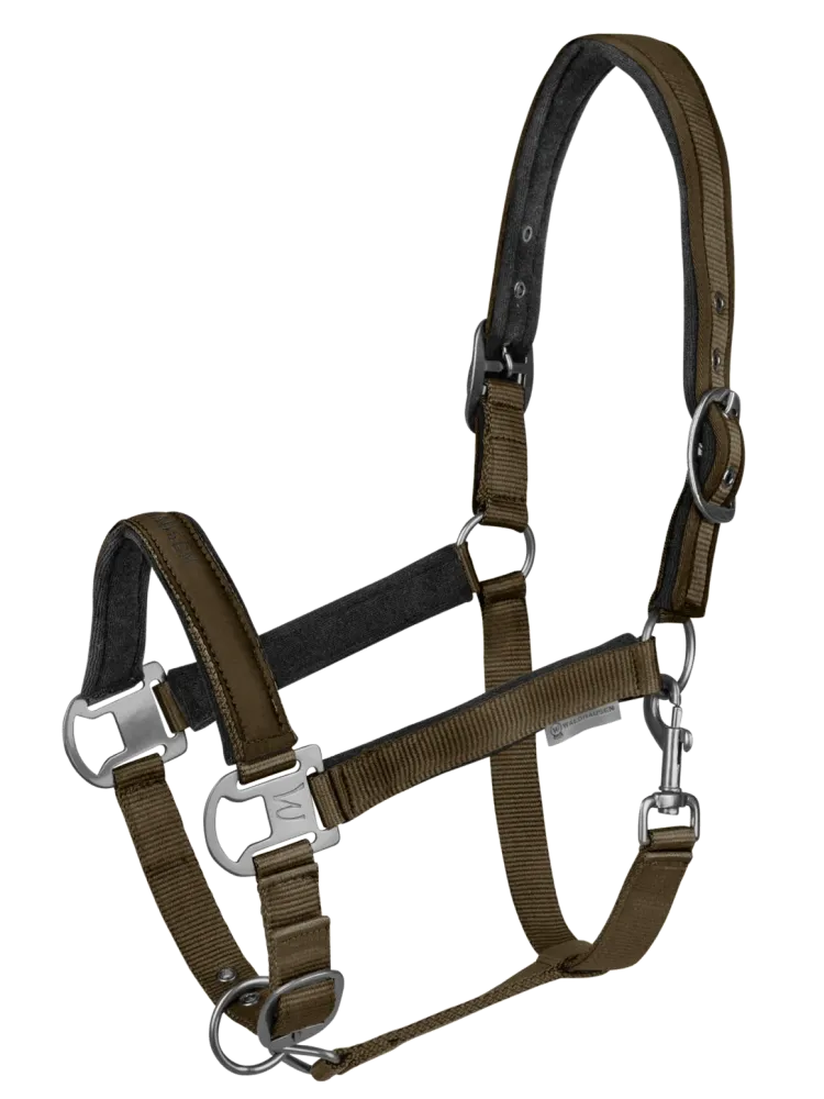 Apauši Athletic Waldhausen