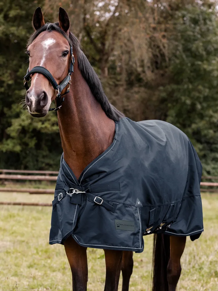 Āra zirgu sega Scandic 300g 1200D Waldhausen