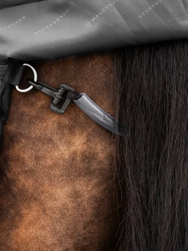 Āra zirgu sega Scandic 300g 1200D Waldhausen