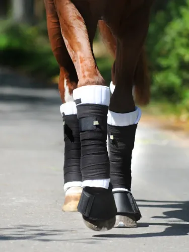 Palikņi Klimatex 50x50 Kavalkade