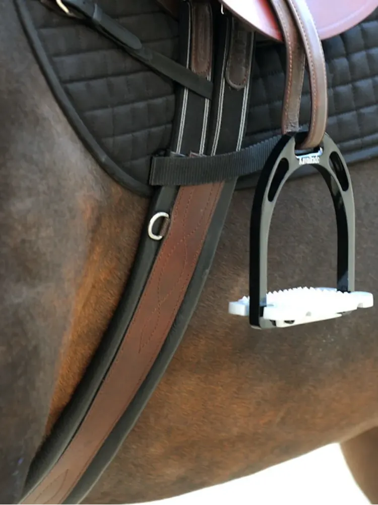 Seglu josta Comfort Elastic Oiled Leather Kavalkade