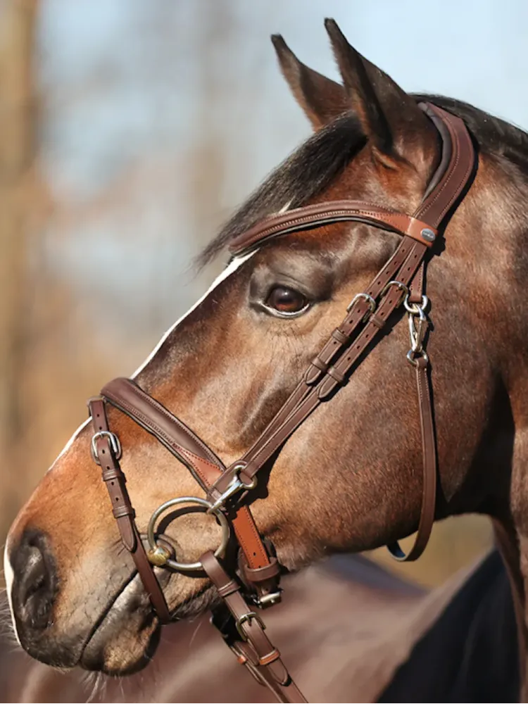 Iemaukti Everyday Oiled Leather Kavalkade