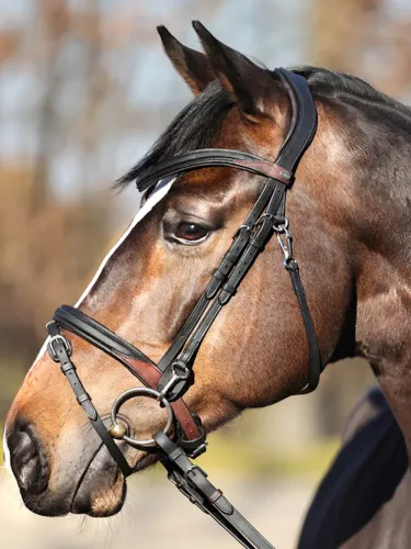 Iemaukti Everyday Oiled Leather Kavalkade