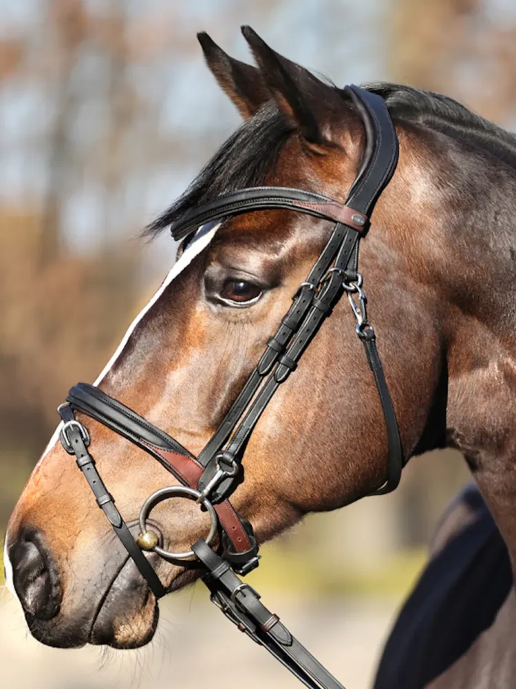 Iemaukti Everyday Oiled Leather Kavalkade