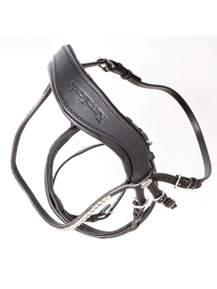 Iemaukti Everness Oiled Leather Kavalkade