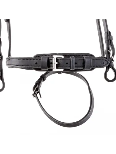 Iemaukti Everness Oiled Leather Kavalkade