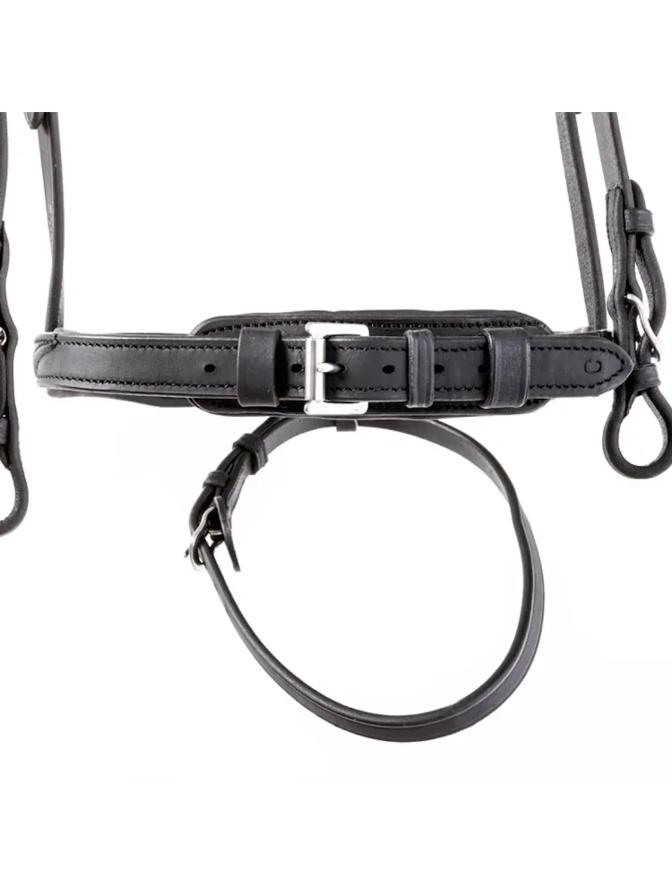 Iemaukti Everness Oiled Leather Kavalkade