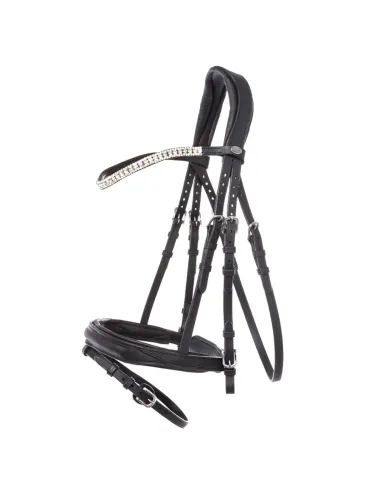 Iemaukti Everness Oiled Leather Kavalkade