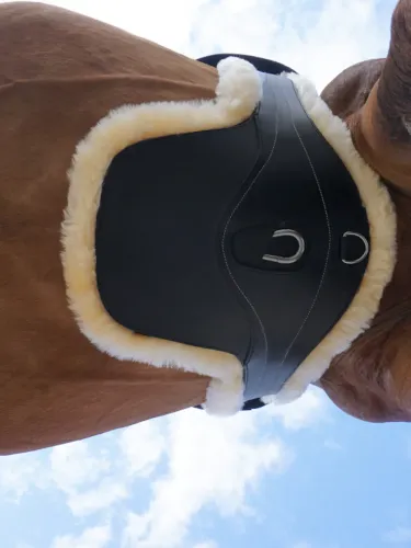 Seglu josta ar klapi Excellence Lambskin Kavalkade