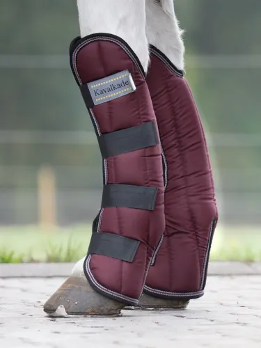 Transportēšanas kāju aizsargi Montreal 4 Kavalkade