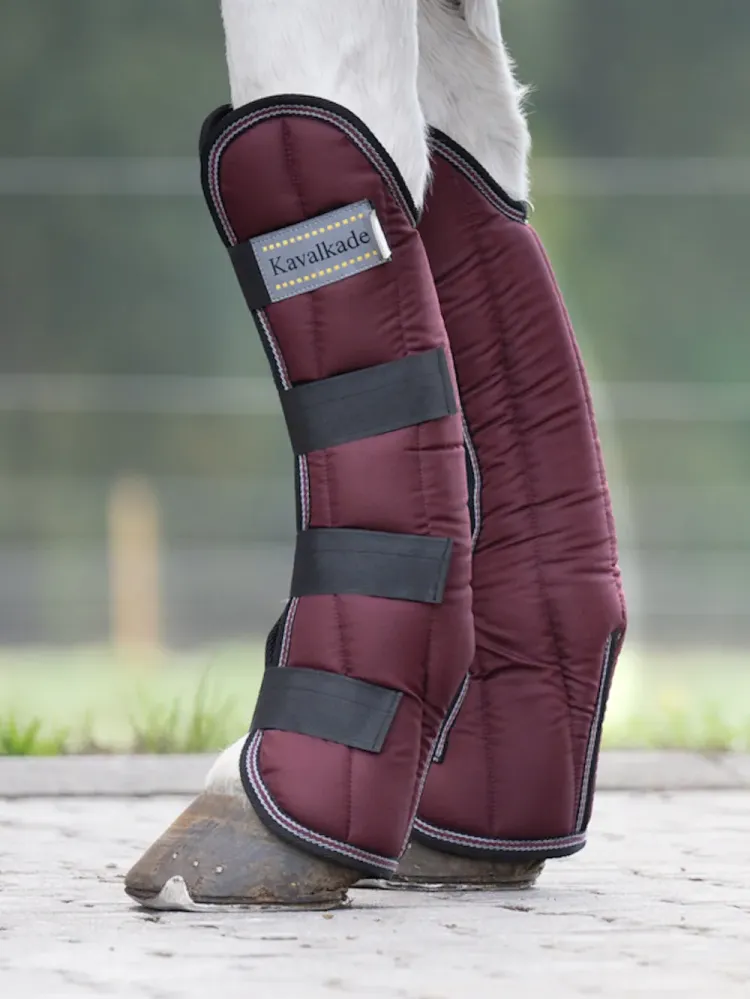 Transportēšanas kāju aizsargi Montreal 4 Kavalkade