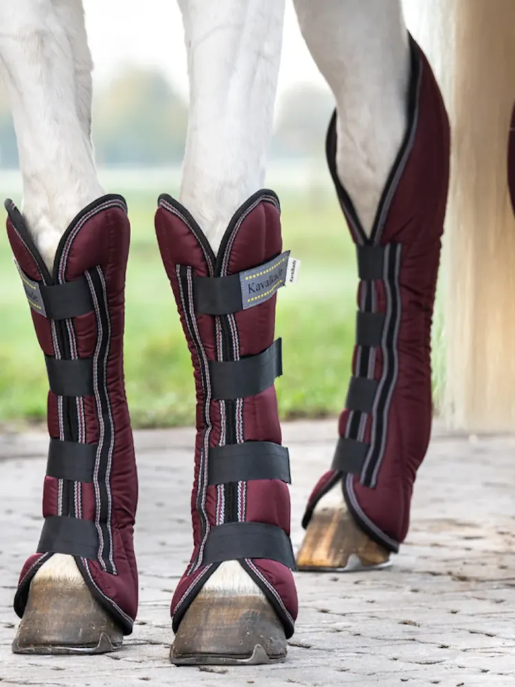 Transportēšanas kāju aizsargi Montreal 4 Kavalkade