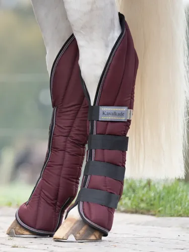 Transportēšanas kāju aizsargi Montreal 4 Kavalkade