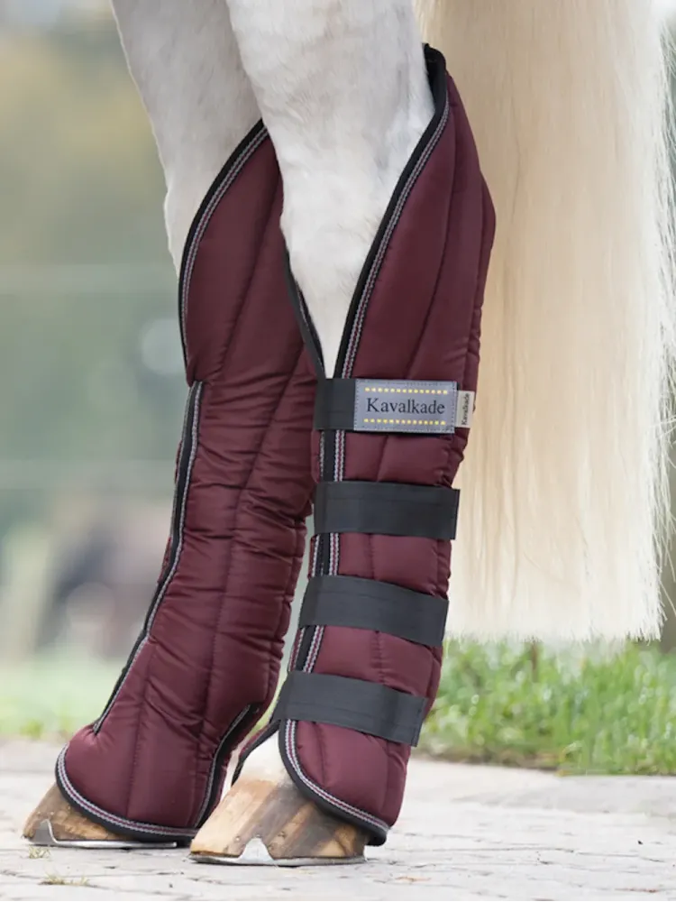 Transportēšanas kāju aizsargi Montreal 4 Kavalkade