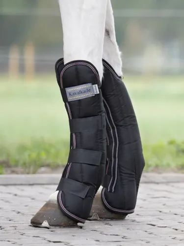 Transportēšanas kāju aizsargi Montreal 4 Kavalkade