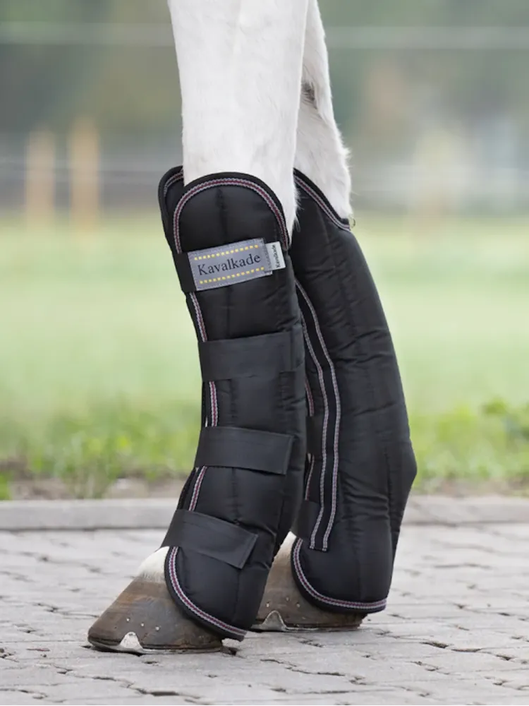 Transportēšanas kāju aizsargi Montreal 4 Kavalkade