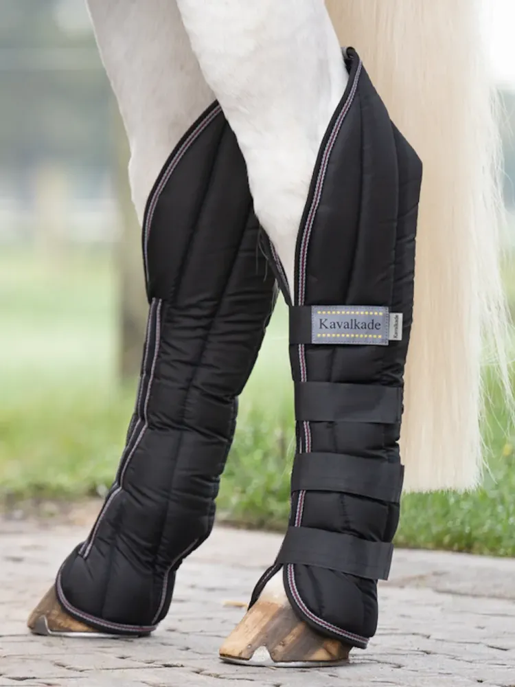 Transportēšanas kāju aizsargi Montreal 4 Kavalkade