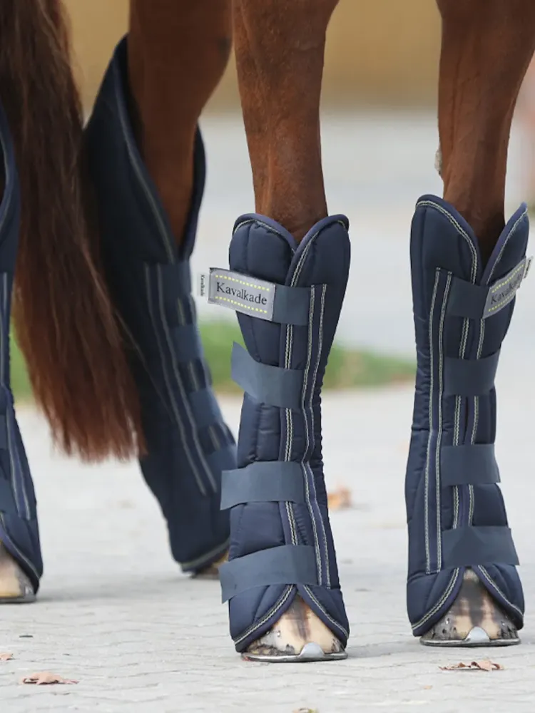 Transportēšanas kāju aizsargi Montreal 4 Kavalkade