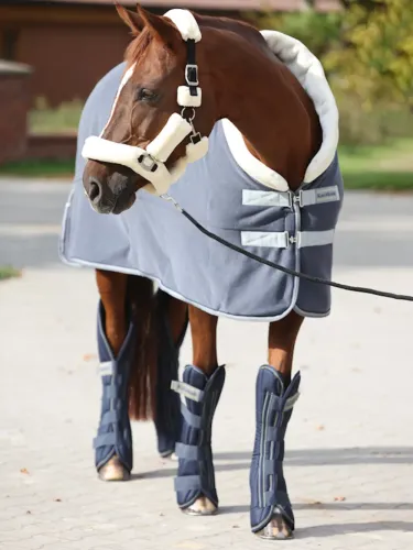 Transportēšanas kāju aizsargi Montreal 4 Kavalkade