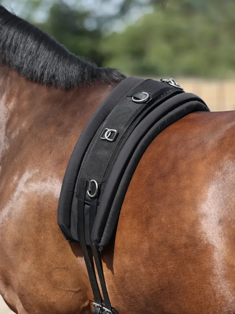 Kordošanas jostas paliknis Kavalkade