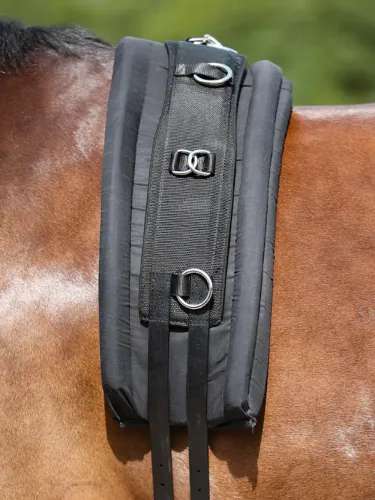 Kordošanas jostas paliknis Kavalkade