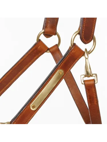 Ādas apauši Cinta Kavalkade