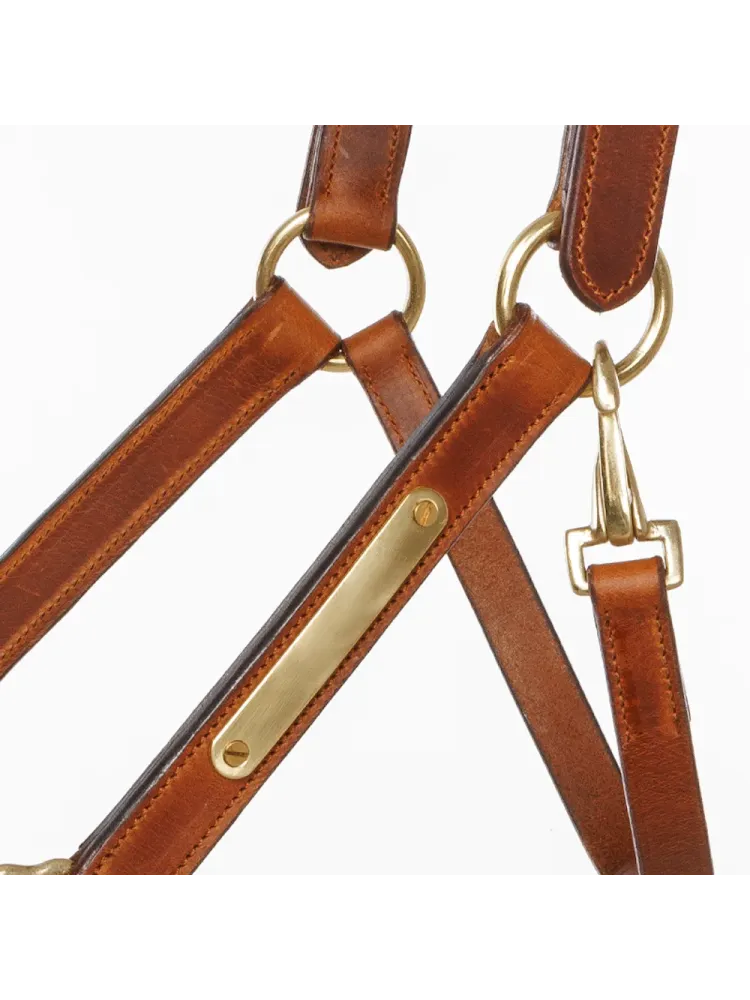 Ādas apauši Cinta Kavalkade