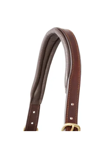 Ādas apauši Cinta Kavalkade