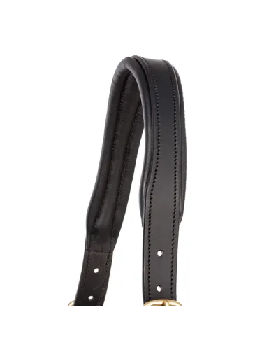 Ādas apauši Cinta Kavalkade