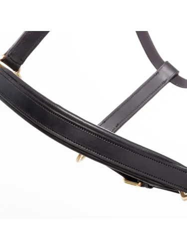 Ādas apauši Cinta Kavalkade