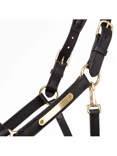 Ādas apauši Cinta Kavalkade