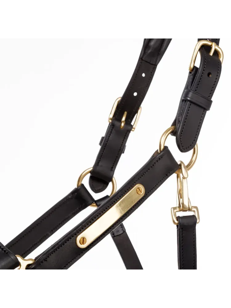 Ādas apauši Cinta Kavalkade