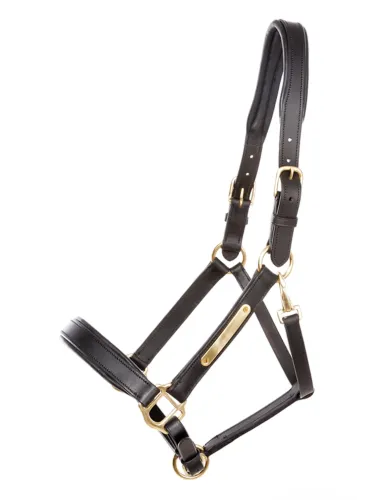 Ādas apauši Cinta Kavalkade