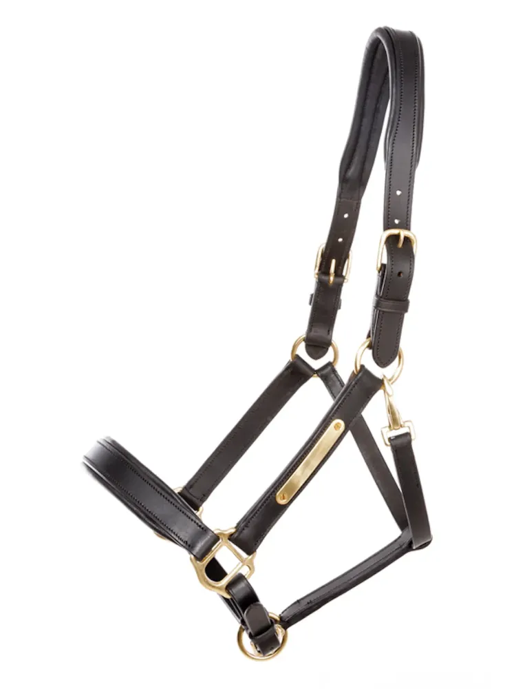 Ādas apauši Cinta Kavalkade