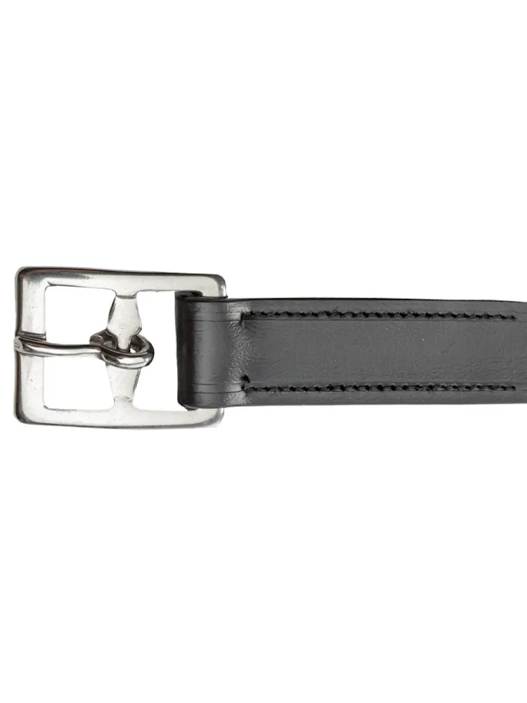 Kāpšļu siksnas Biothane Kavalkade