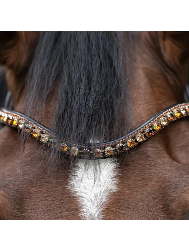 Pieres siksna Dazzle Kavalkade