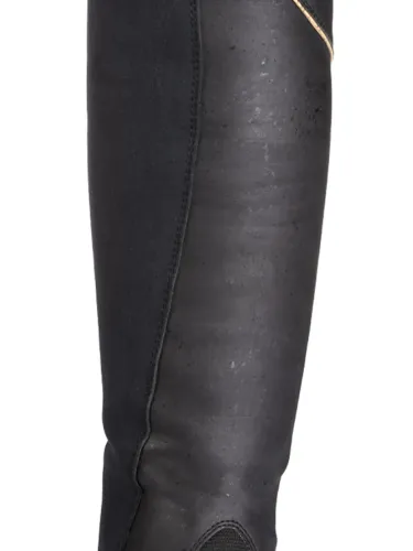 Stulmi Cortiga Veg Kavalkade