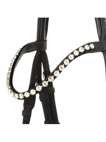 Iemaukti Cortica Veg Kavalkade