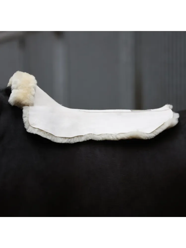 Aitādas seglu palikniss Pure Kavalkade