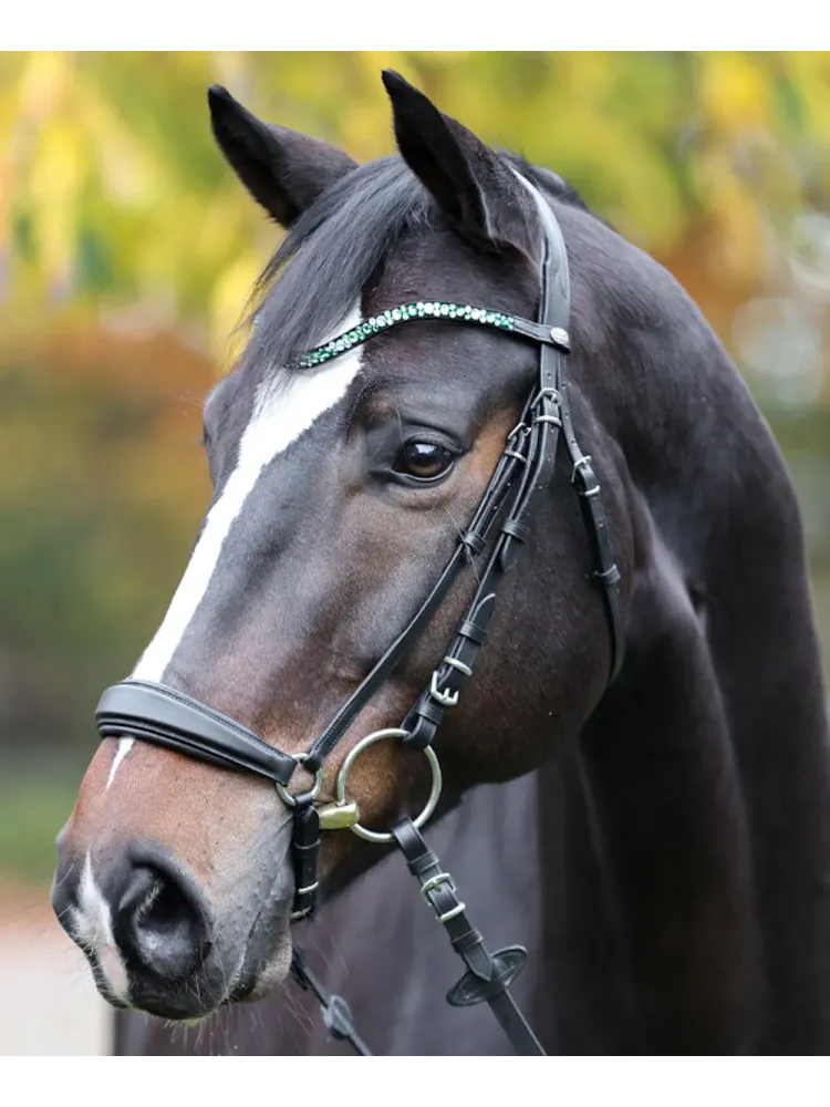 Pieres siksna Sparkle Kavalkade